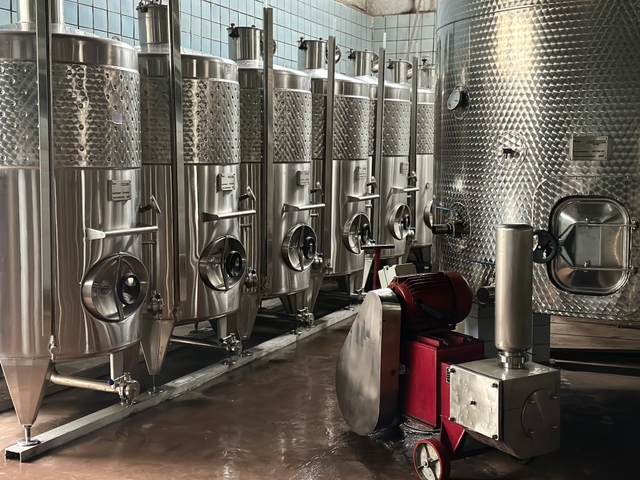 Inside the barrel room with oak aging barrels